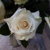 Bouquet de roses – Image 10